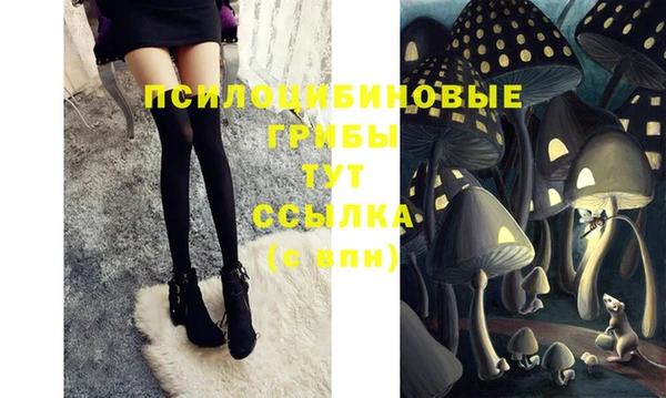 СК Кодинск