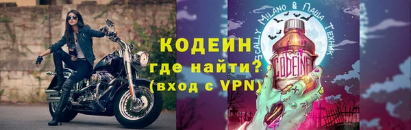 СК Кодинск