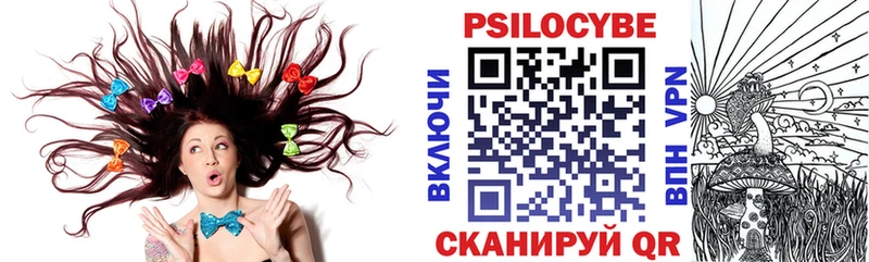 Купить  Калач-на-Дону  Галлюциногенные грибы GOLDEN TEACHER 